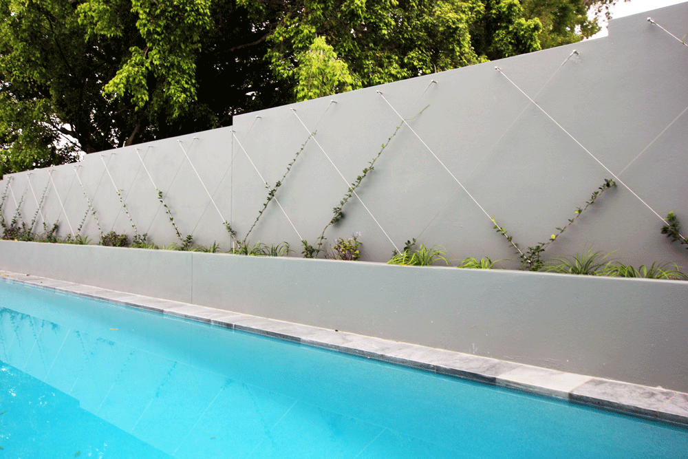 Garden Green Wall Trellis System